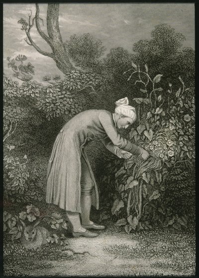 William Cowper (1731-1800) da English School